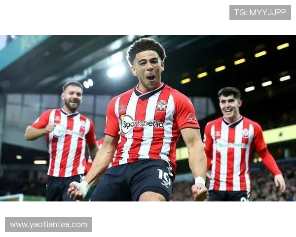 英超南安普顿俱乐部现役球员数据统计与分析