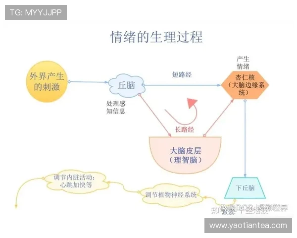 乔哈特揭露波罗被换下场后的失控情绪与疯狂行为分析 乔哈特揭露波罗被换下场后的失控情绪与疯狂行为分析